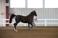 EI3A9109