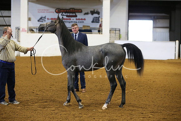 RJC16983