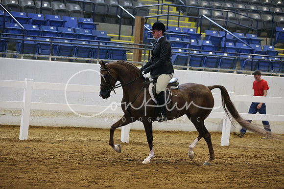 RJC18008