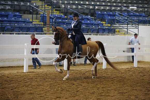 RJC10289