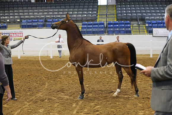 RJC11671