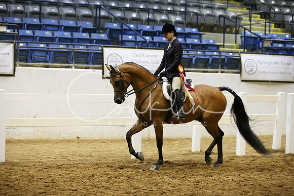 RJC12289