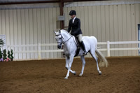 532 Arabian SHUS Open - Hunt Type