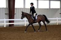 534 Arabian SHUS AATR - Hunt Type