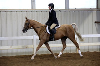 537 HA AA SHUS ATR Limit Rider