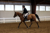 539 Arabian SHUS AOTR - Hunt Type