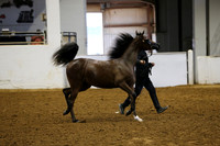 RJC11786