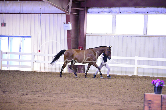 _DSC6093