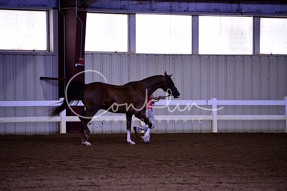 _DSC6657