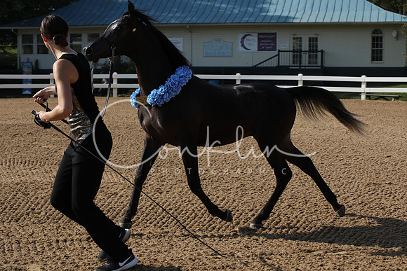 EI3A0606