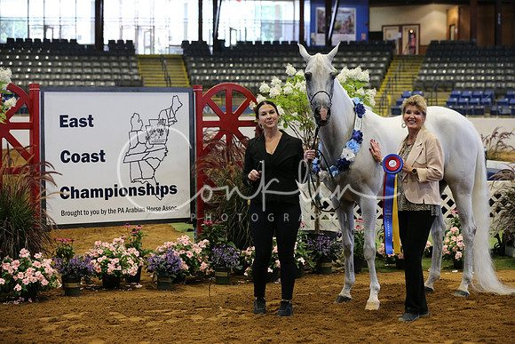 RJC10651