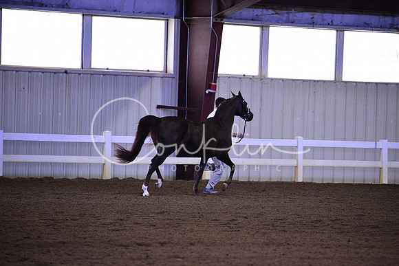 _DSC5909
