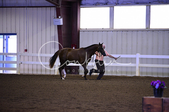 _DSC5816