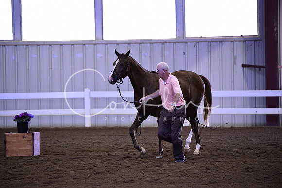 _DSC5850