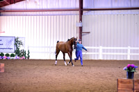 _DSC6060