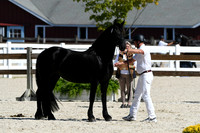 HSM_4746