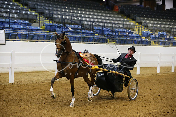 RJC12604