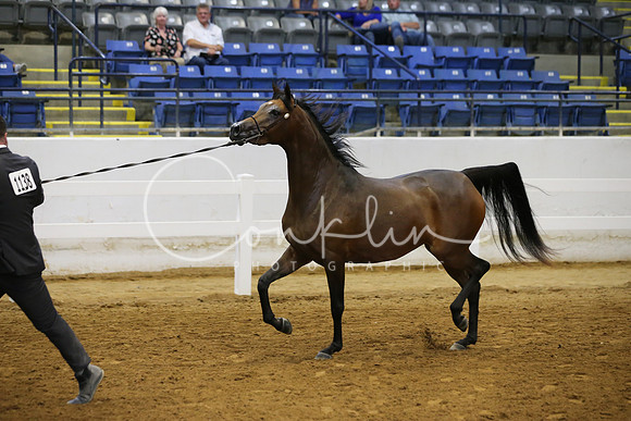 RJC14783