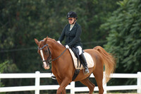 00 Dressage No Number 01