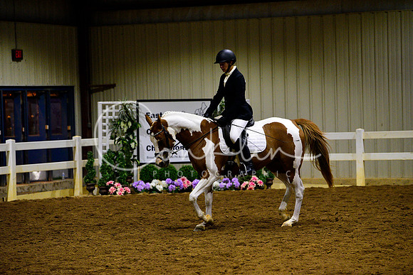 _DSC9417