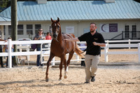 EI3A4223