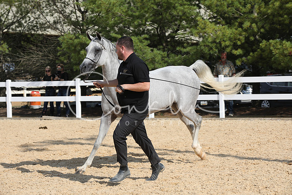 EI3A4269