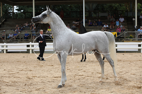 EI3A3686
