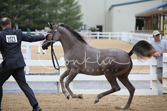 EI3A2698