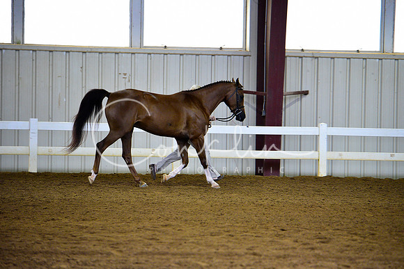 _DSC8054