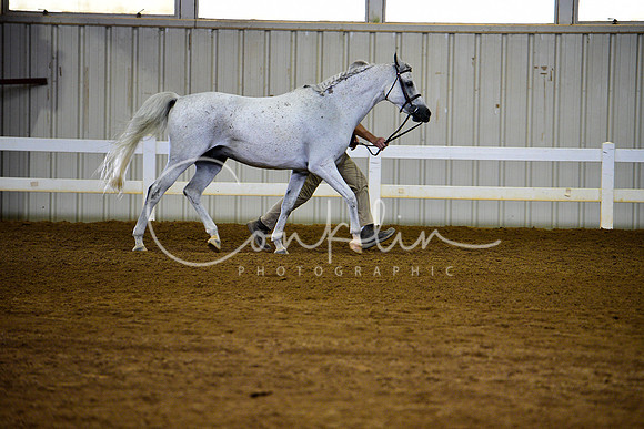 _DSC8166