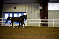 _DSC7066