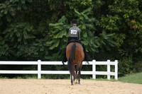 1249 PICTURE PERFECT CCF