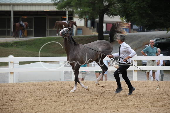 EI3A2981