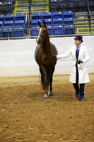 1341 AFTER CHARM SCHOOL
