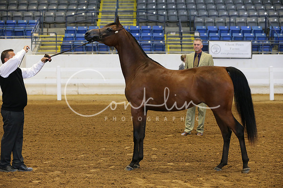 RJC15545