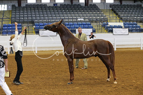 RJC15484