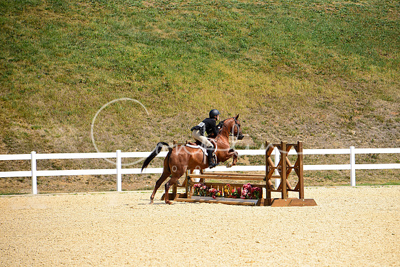 _DSC0170
