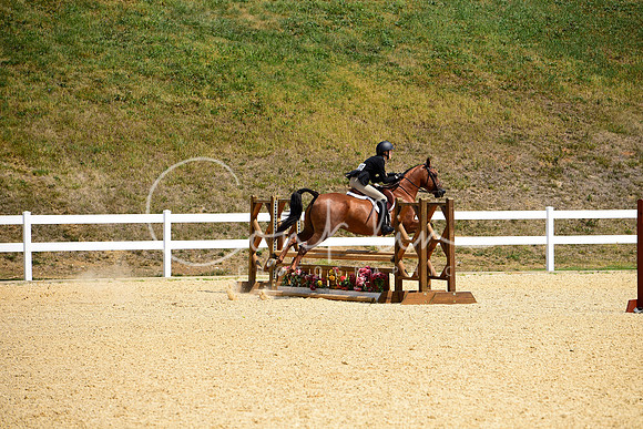 _DSC0215