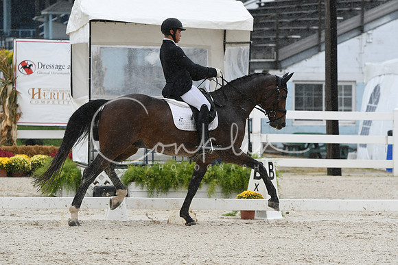 HSM_0506