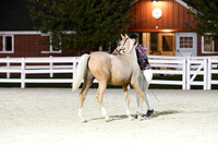 HSM_5874
