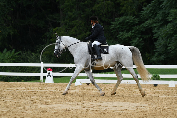 HSM_0385