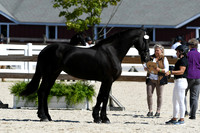 HSM_4725