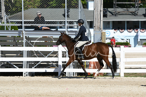 HSM_2579