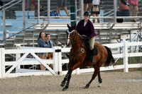 HSM_0868