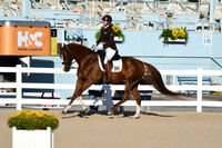 HSM_4313