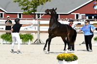 HSM_5049
