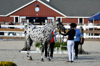 HSM_5481