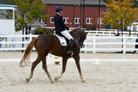 HSM_0538