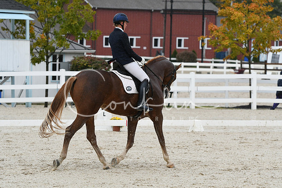 HSM_0538