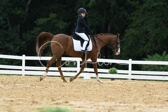 HSM_0220